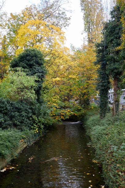 istock Autumn Creek in the Forest 2175664964