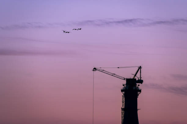 A flock of birds fly home against the backdrop of construction cranes and the setting sun in Tamsui, Taiwan. Symbolizing the end of the day and the harmony between urban development and nature.