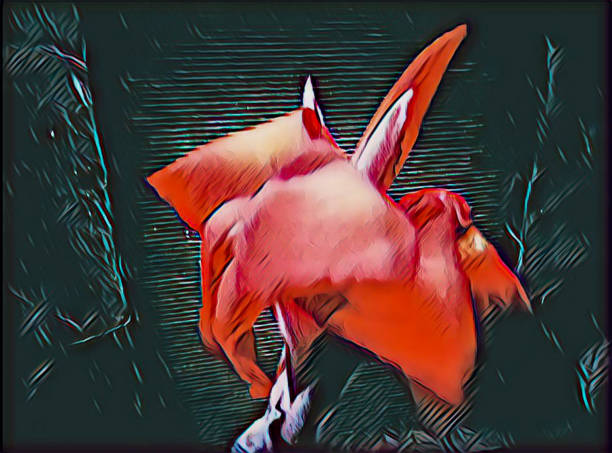 Abstract background of color of the flower