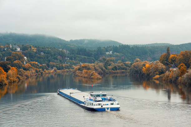 A barge navigates the Mosel River near Trier, Germany. Yellowed trees on the riversides. Overcast