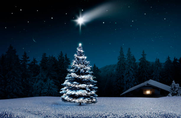 istock Christmas tree in cold winter night with lighted hut 2175677694