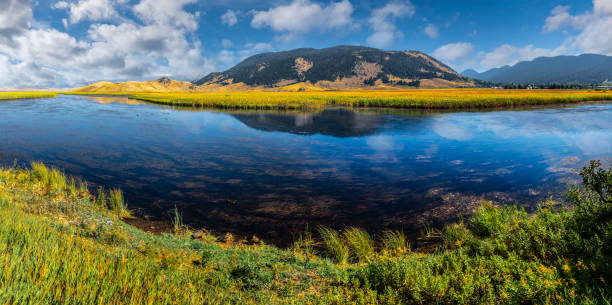 This peaceful wetland at the National Elk Refuge near Jackson, Wyoming, USA is teeming with life.  The quiet stillness of the marsh, provides vital habitat for migratory birds and native wildlife.