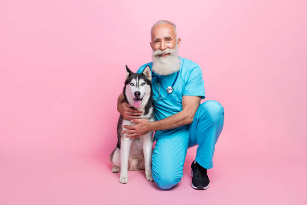 istock Full length photo of nice professional old doc dressed blue uniform stethoscope on neck cuddle husky isolated on pink color background 2175690246