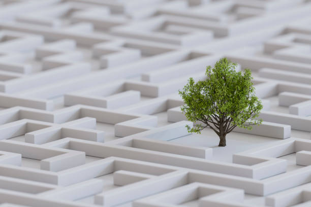 Tree on maze, sustainability concept stock photo