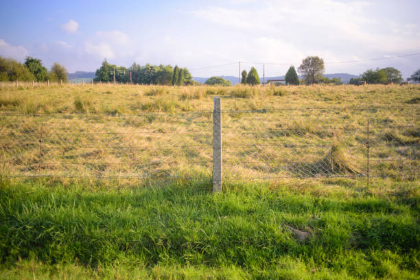 Wire fence in pasture field