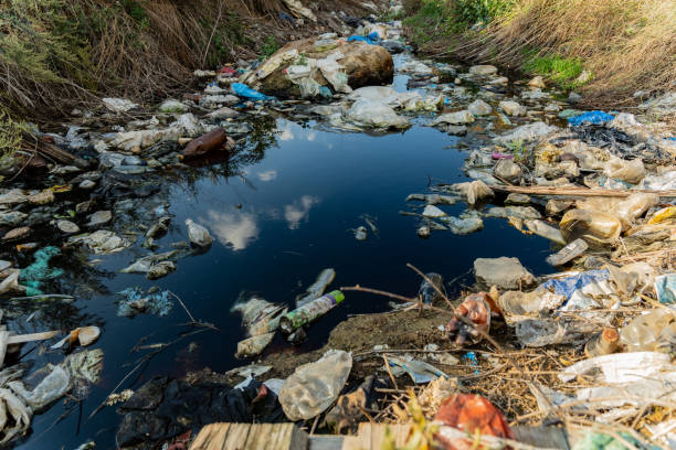 istock A small waterway is heavily polluted with plastic waste and debris, reflecting the surrounding greenery under daylight. The scene highlights environmental issues faced by rural areas 2175704081