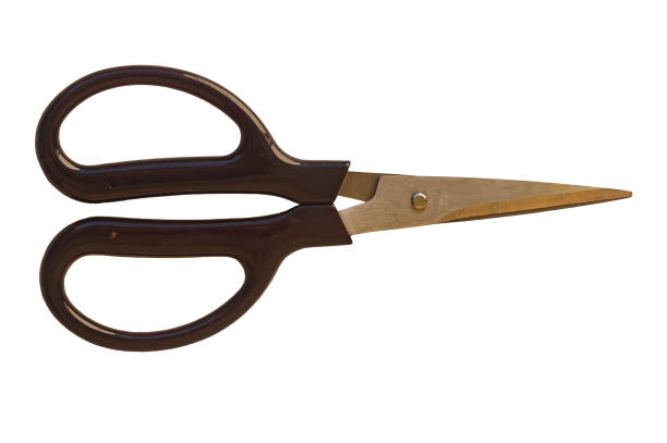 scissors