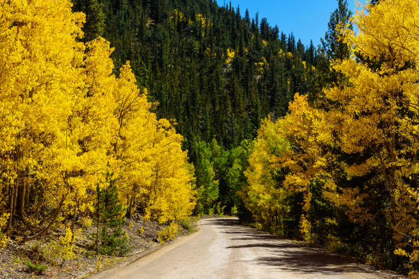 istock Golden Trails: The Beauty of Boreas Pass in Fall, Exploring  Colorado 2175704909