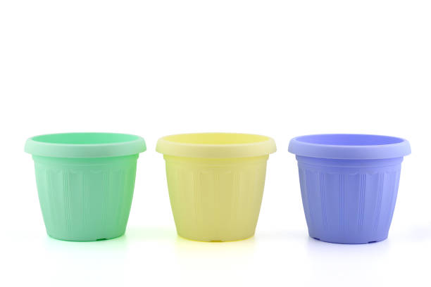 Retail display of yellow, green and white ceramic pots.