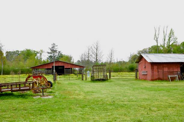 Red barn on farm land
