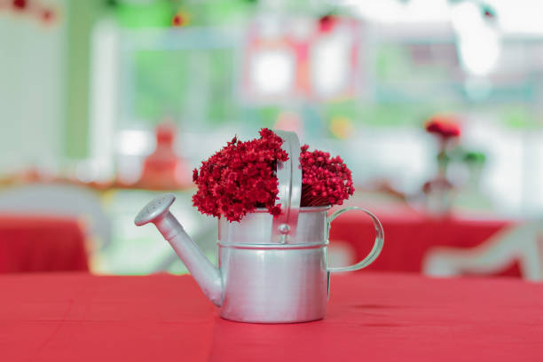 A silver watering can sits on a red table, filled with a bunch of bright red flowers. The background is blurred but appears to be a dining room with red chairs and red tablecloths. The watering can is positioned in the left-hand corner of the image with the handle pointing to the right. The red flowers take up most of the space in the can. The image is well-lit and the colors are vibrant. It's a simple still life that evokes a sense of spring and new beginnings.