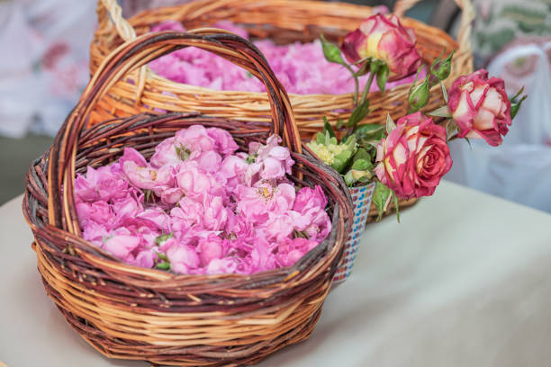 istock Wicker baskets filled with delicate pink flower petals 2175719483