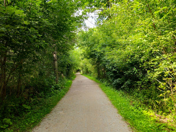 istock Nokiidaa Bike Trail 2175724529