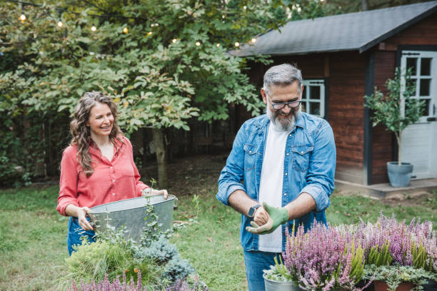 istock Mature couple gardening in back yard 2175729288