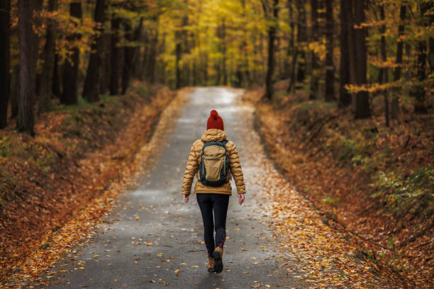 Woman hiking in autumn forest