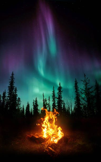 istock Wild And Cosy Campfire Under The Northern Lights 2175729700