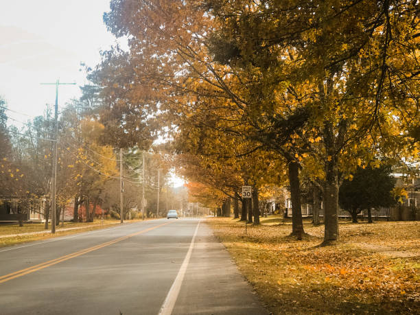 istock autumnal road in vermont 2175730225