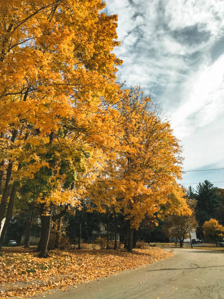 autumnal road in vermont