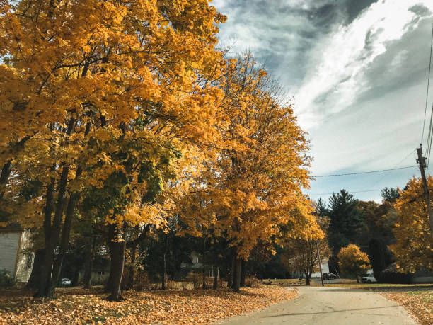 autumnal road in vermont
