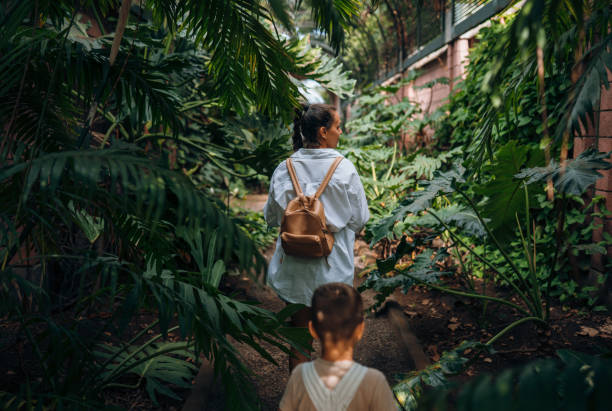 istock time to visit this greenhouse 2175734530