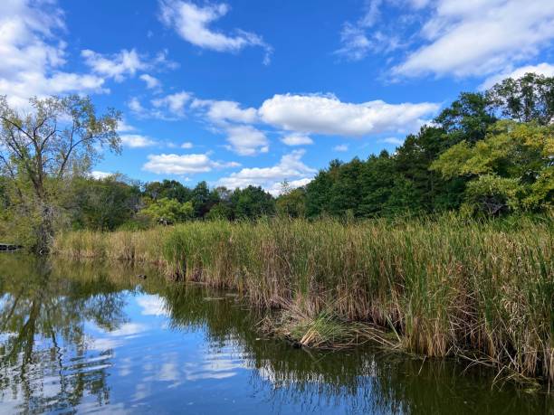 istock Aldo Leopold Nature Center in Monona, Wisconsin 2175737113