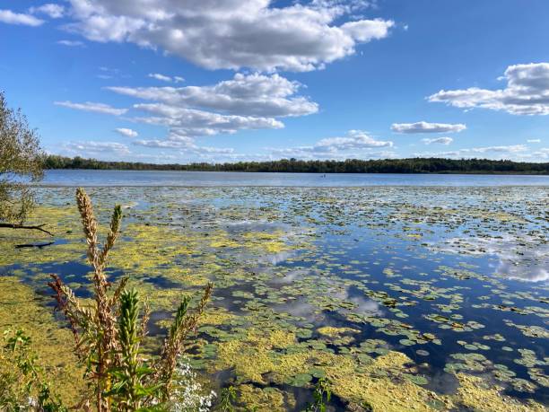 Lake Wingra in Madison, Wisconsin