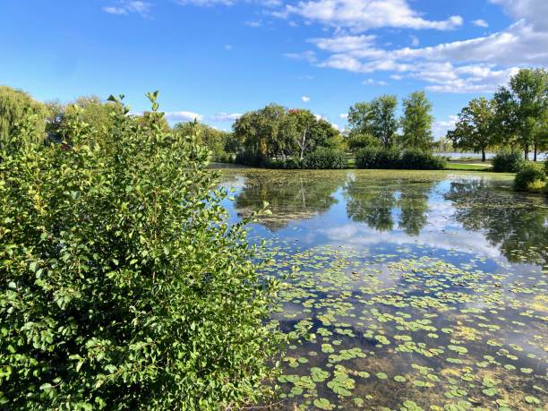 istock Lake Wingra in Madison, Wisconsin 2175737881