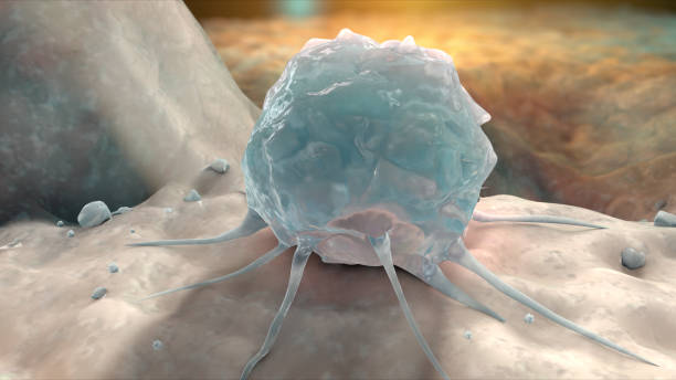 istock Stem Cell on bone 3D medical illustration 2175744156