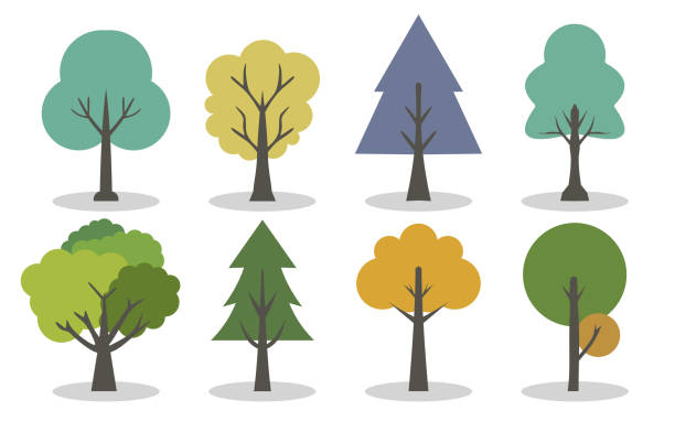 stockillustraties, clipart, cartoons en iconen met minimalist tree variations illustration - boom