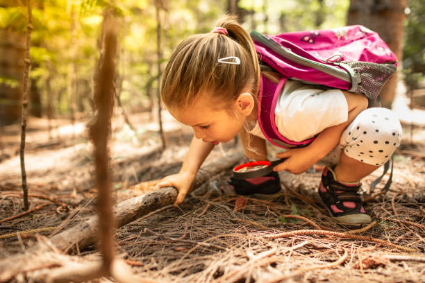 istock Curious little child girl exploring nature forest with her magnifying glass . 2175758155