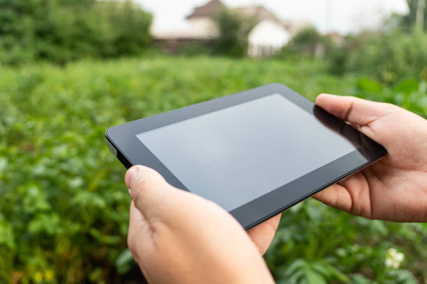 istock Farmer with tablet computer in potato field. Banner for design. concept of technology in agriculture. Space for text. 2175763224