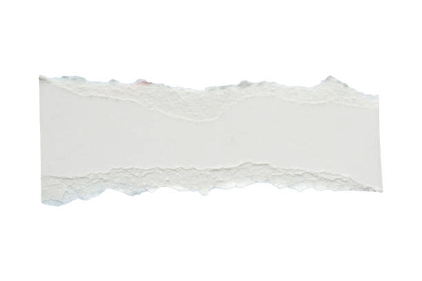 istock White ripped paper torn edges strips isolated on white background 2175765677