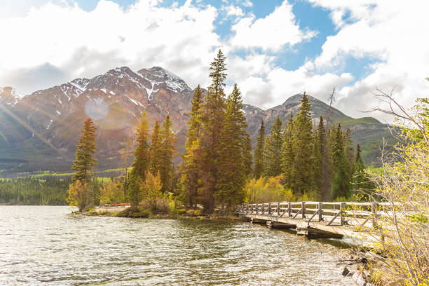 istock Incredible nature views at Pyramid Lake in Jasper National Park during spring time with iconic and popular bridge in view of foreground with snow capped mountain, spruce trees in background. 2175776340