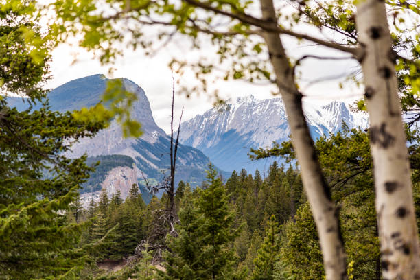 Incredible nature scenic view in Jasper National Park during spring time with incredible mountain ranges, snow capped stunning landscape scenery.