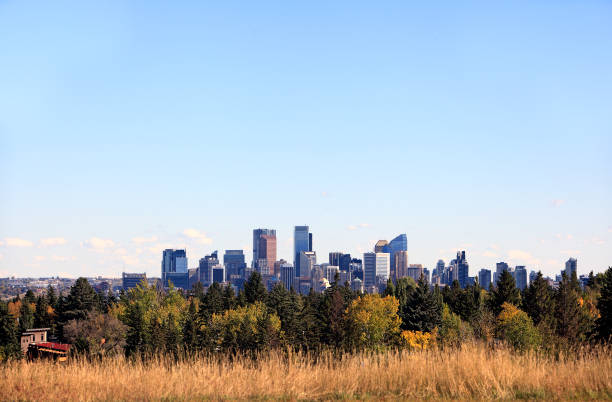 Skyline in Autumn of Calgary Alberta Canada . West  looking East. Autumn trees in foreground.