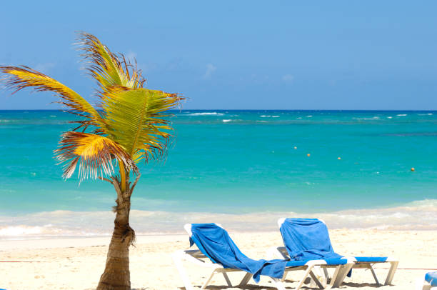 The tropical beach view features white deck chairs aligned on the sand, perfect for sunbathing under the sunny sky