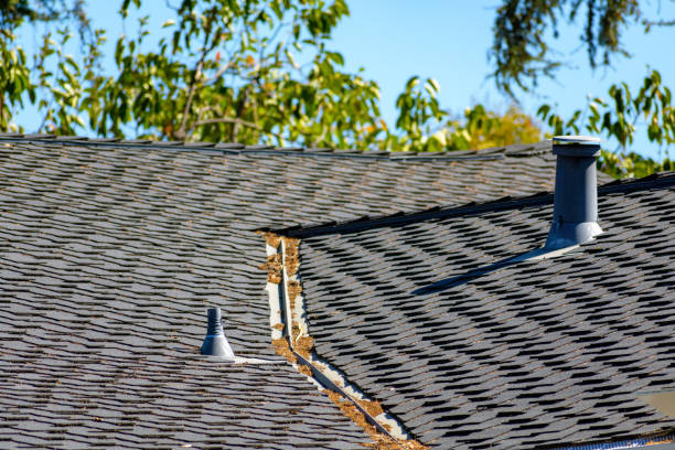 istock A rooftop with asphalt shingles. A gutter filled with leaves and two ventilation pipes 2175796286