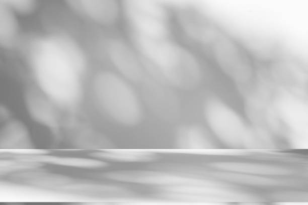 istock Studio style background wall decoration presentation uses white tones. with shadows cast from a nearby window, concept creating a decorative backdrop. 2175801470