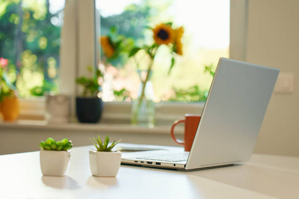 istock Bright home office with laptop and plants 2175802680