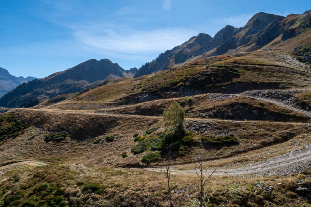 istock A mountain range with a tree in the middle of the field 2175805581