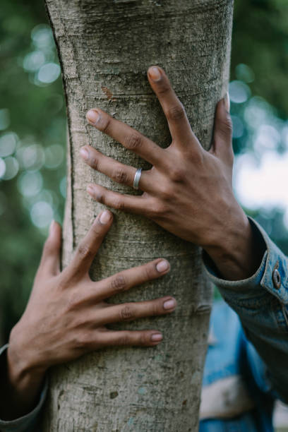 istock Close-up of a hand holding a tree trunk, symbolizing a connection with nature. 2175805835