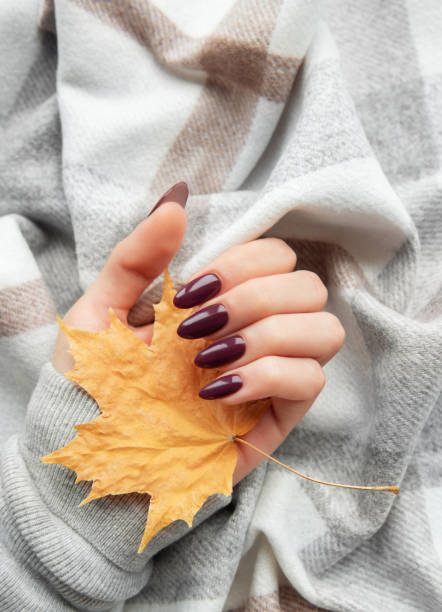 istock A hand holding a vibrant autumn leaf rests on a cozy plaid blanket during a serene fall afternoon 2175806098