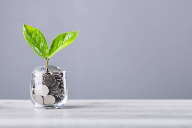 istock Glass jar filled with coins, with a small seedling growing in the center, placed on a table against a grey background. The image represents the concept of saving and financial growth 2175808249