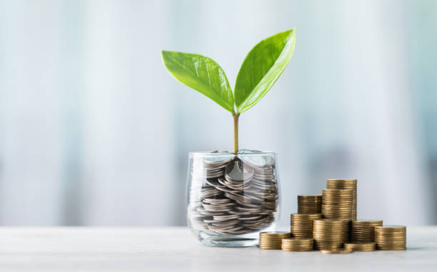 glass jar filled with coins and a small seedling in the center, with stacks of coins arranged from smallest to largest on a table. highlights the concept of saving and financial growth - kosten stock-fotos und bilder