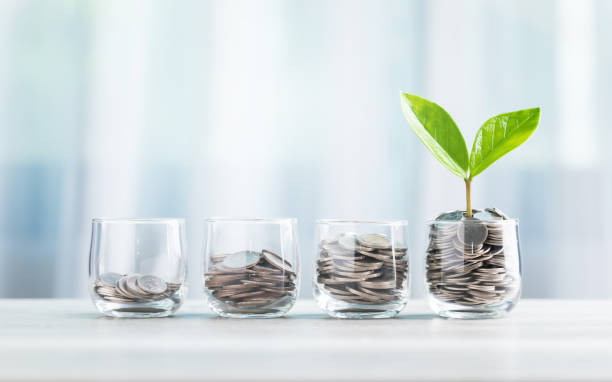 istock Glass jar filled with coins, with a small seedling growing in the center, placed on a table against a bright white backdrop. The image represents the concept of saving and financial growth for future 2175809510