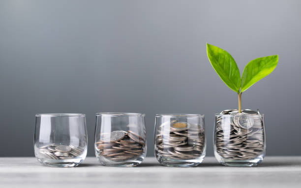 istock Glass jar filled with coins, with a small seedling growing in the center, placed on a table against a dark grey backdrop. The image represents the concept of saving and financial growth for future 2175809522