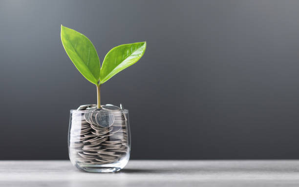 istock Glass jar filled with coins, with a small seedling growing in the center, placed on a table against a dark grey backdrop. The image represents the concept of saving and financial growth for future 2175809532