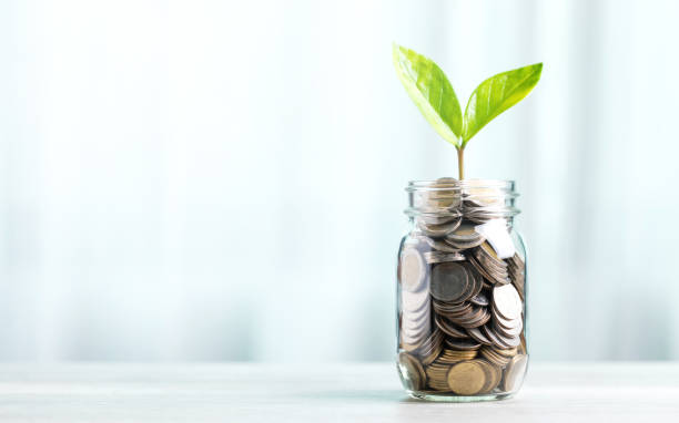 istock Glass jar filled with coins, with a small seedling growing in the center, placed on a table against a bright white backdrop. The image represents the concept of saving and financial growth for future 2175809664