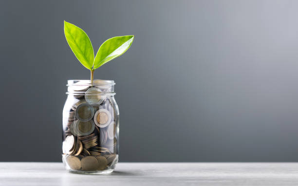 istock Glass jar filled with coins, with a small seedling growing in the center, placed on a table against a dark grey backdrop. The image represents the concept of saving and financial growth for future 2175809740