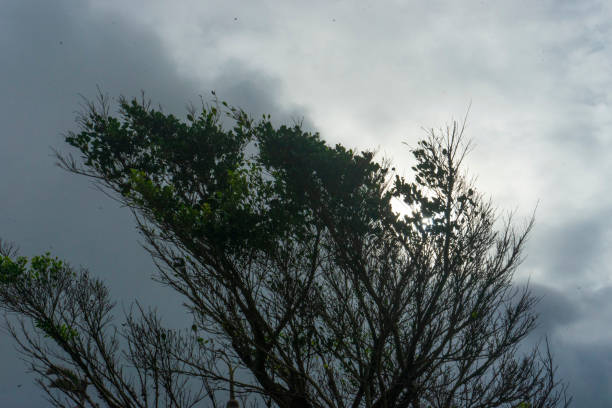 Raining day